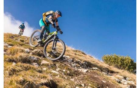 Cross-Country / All Mountain