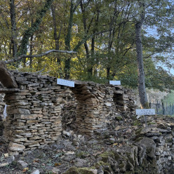 sortie en semaine du 28/10/2026